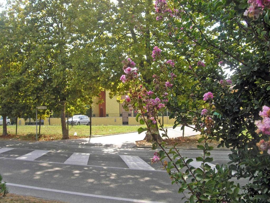 Residence Mediterraneo Lido delle Nazioni Cameră foto